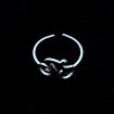  Wielren ring (zilverkleurig)
