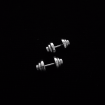 Dumbbell earrings