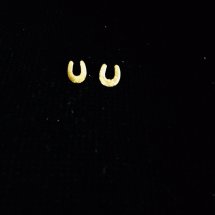 Vergulde hoefijzer oorbellen armband
